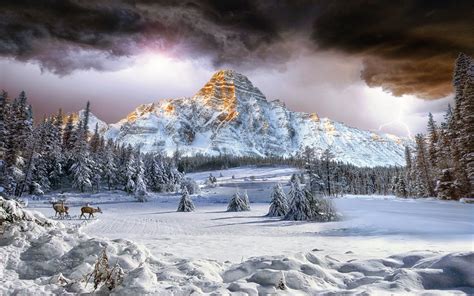Winter Landscape Image Id 294609 Image Abyss