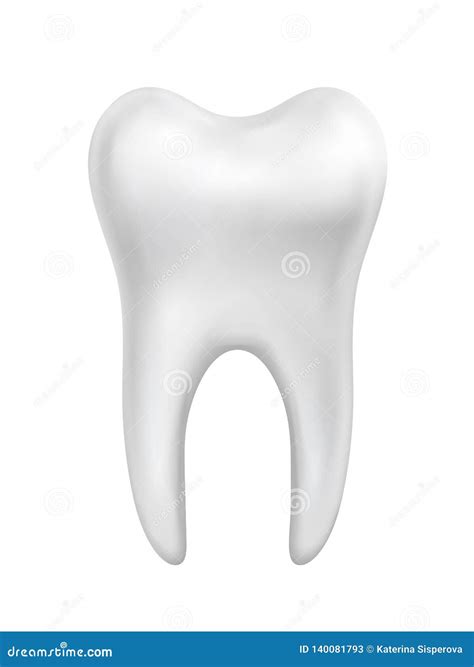Vector White Beautiful Shiny Tooth Illustration Isolated On White