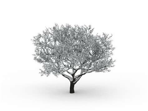 Winter Snow Tree 3d Model 3ds Max Files Free Download Modeling 29830