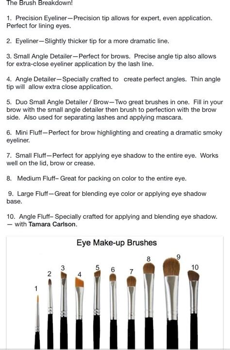 Eye Makeup Brush Guide Makeup Brushes Guide Makeup Tutorial