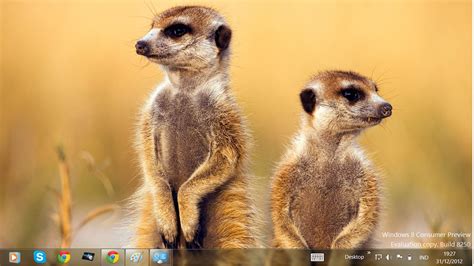 Free Download Windows 8 Themes African Wildlife Theme