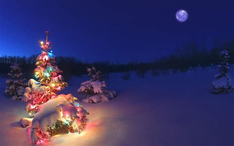 Winter Christmas Tree Wallpapers Hd Desktop And Mobile Backgrounds