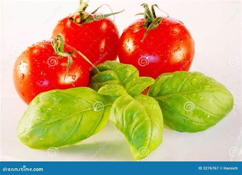Basil And Tomatoes Stock Image Image Of Vegetarian Ingredient 3276767