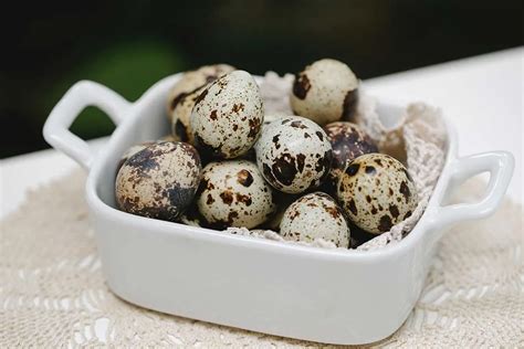Quail Eggs 12 Amazing Benefits Delicious Recipes And How To Make