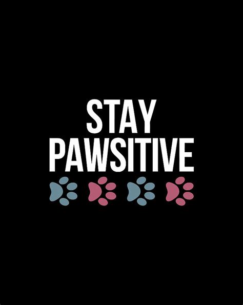 Stay Pawsitive Digital Art By Jane Arthur