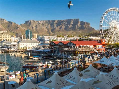 Cape Town City Tours: Explore the Jewel of South Africa 2