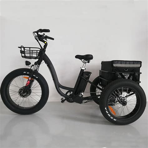 24 Inch Electric Trike Fat Tire 3 Wheels Electric Tricycle Adult Cargo