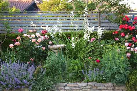 カメラマンが訪ねた感動の花の庭。芝とハーブとバラがコラボする庭 愛知・寺田邸 Gardenstory ガーデンストーリー