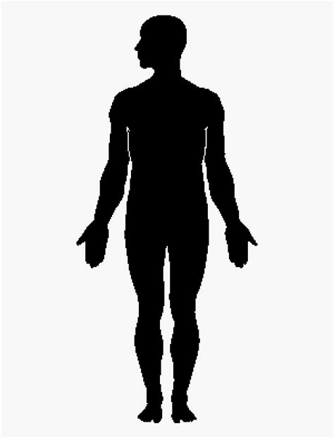 Human Body Silhouette Clip Art Human Body Silhouette Png Free