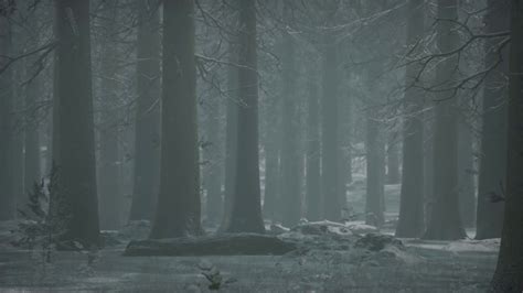 Winter Snow Covered Forest On A Cloudy Day Motion Background 0010 Sbv