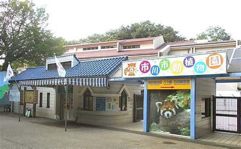 市川市動植物園（いちかわしどうしょくぶつえん、英:ichikawa zoological & botanical garden）は、千葉県市川市の市立動物園及び植物園。コツメカワウソ舎で「流しカワウソ」というパイプを用いた遊具を展示することで知られる。 市川市動植物園│施設ガイド