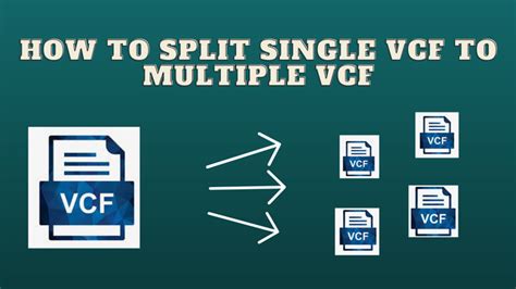 Learn How To Split Single Vcf To Multiple Vcf File Explained