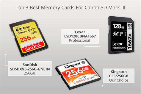 7 Best Memory Cards For Canon 5d Mark Iii In 2024