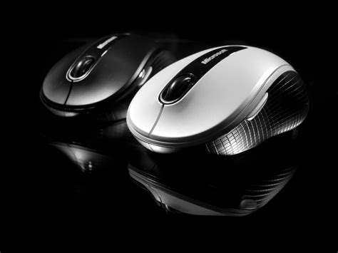 Share all sharing options for: Get Rid Of Mice In London, England | Fast Professional ...