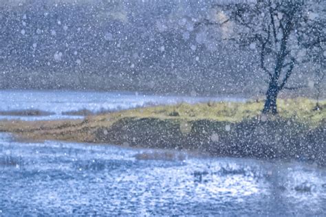 Pond In Heavy Downpour Stan Schaap Photography