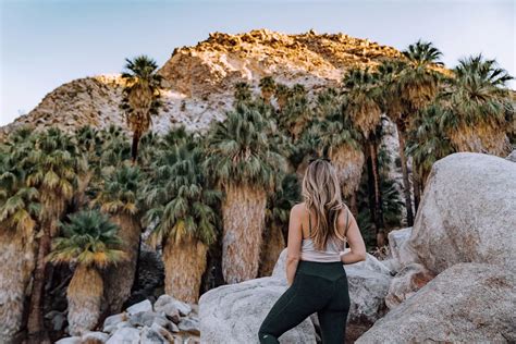 12 Best Joshua Tree Hikes According To A Backpacking Guide Travelfreak