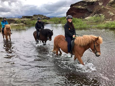 Horseback Riding In Iceland Horse Trips And Tours In Reykjavik