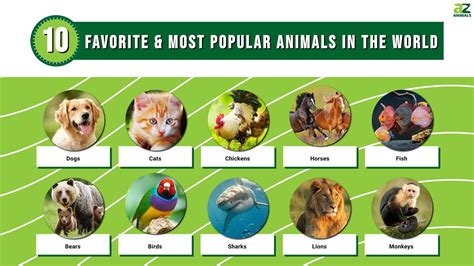 The Worlds 10 Favorite And Most Popular Animals A Z Animals
