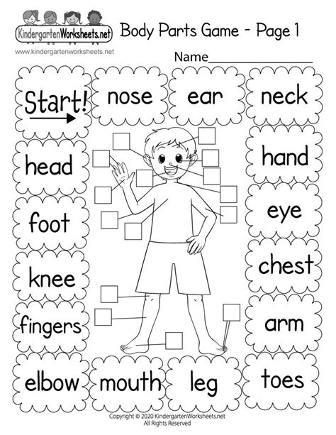 Body Parts Worksheet For Kindergarten