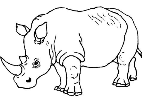 Collect some natural materials while you're there. African Animal Template - Animal Templates | Free & Premium Templates