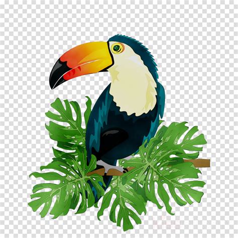 Clipart Toucan 10 Free Cliparts Download Images On Clipground 2023