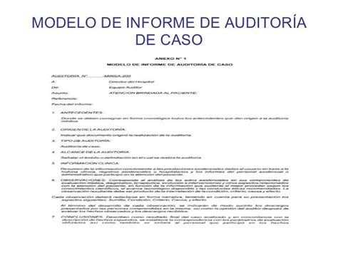 Informe De Auditoria Ejemplo