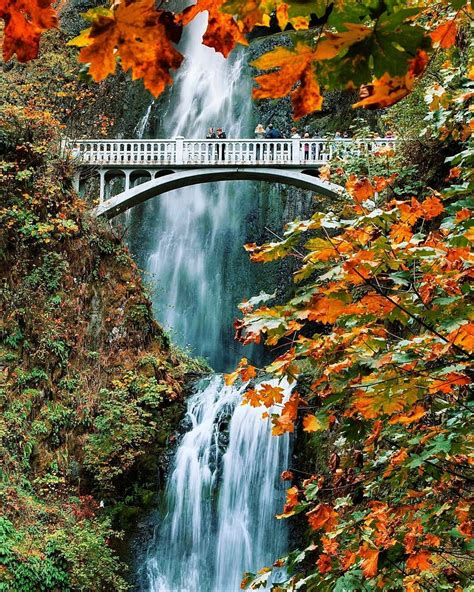 The Scenic Views Of Multnomah Falls Combined With Autumn Colors Did
