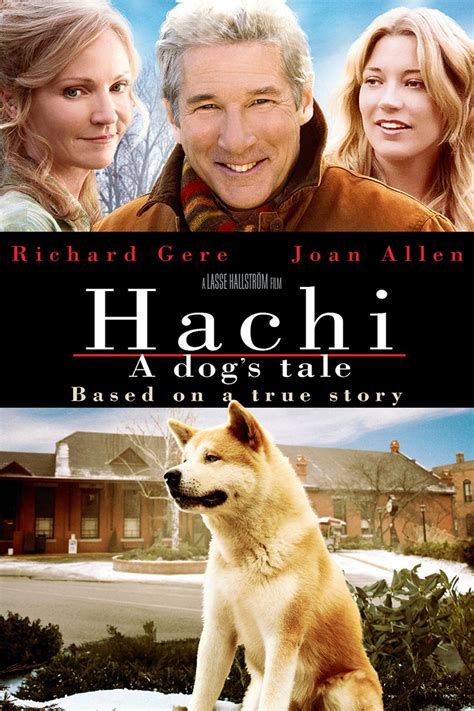 81 Hachi A Dogs Tale The Confusing Middle
