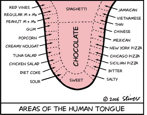 A study in the journal sleep showed that having a larger tongue with higher levels of fat might be a risk factor for obstructive sleep apnea (a serious. ¿Cómo la lengua degusta la comida? | Página de ...