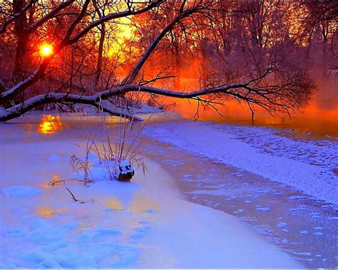 Sunrise River In The Winter Snow Trees Orange Sun Gassing Wallpaper For