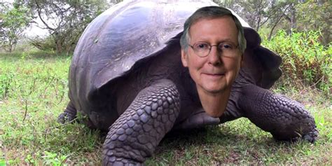Senate majority leader mitch mcconnell of kentucky had mysteriously amassed vast. Mitch McConnell is a Menace But He's Overrated - Progress Pond