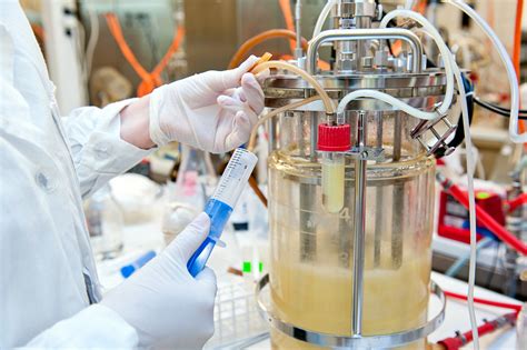Bioprocessing Market Demand Driven By Single Use Technology