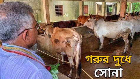 Dilip ghosh being treated at coochbehar hospital after being attacked on april 7, 2021 by tmc. গরুর দুধে সোনা ৷৷ Dilip Ghosh on cow milk || Ft. Dilip ...