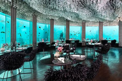6 Underwater Restaurants In The Maldives To Experience Inspire Maldives