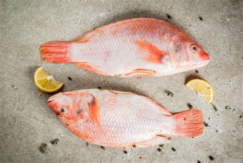 Fresh Raw Fish Pink Tilapia High Quality Food Images ~ Creative Market