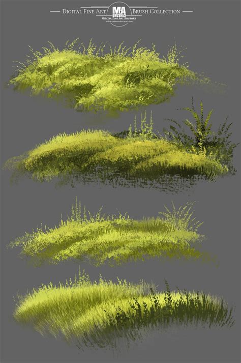 Photoshop Brushes Foliage Grass Nature Digital Painting