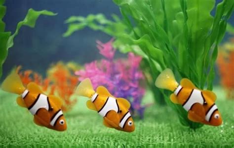 We found that odditycentral.com is not yet a popular website, with moderate traffic. Robo-Fish | Oddity Central - Collecting Oddities | Robo ...
