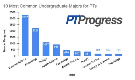 What Is The Best Undergraduate Major For Physical Therapy