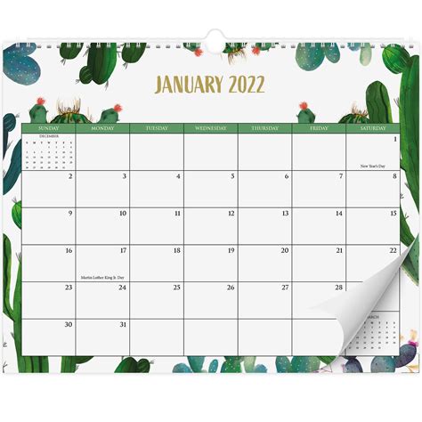 Aesthetic Cactus Wall Calendar Runs From January 2022 Until July 2023