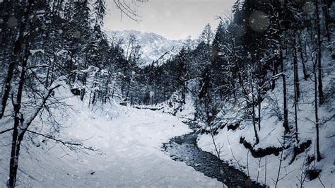 Snowy Creek Photograph By Candice Heizmann