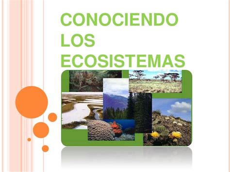 Conociendo Los Ecosistemas