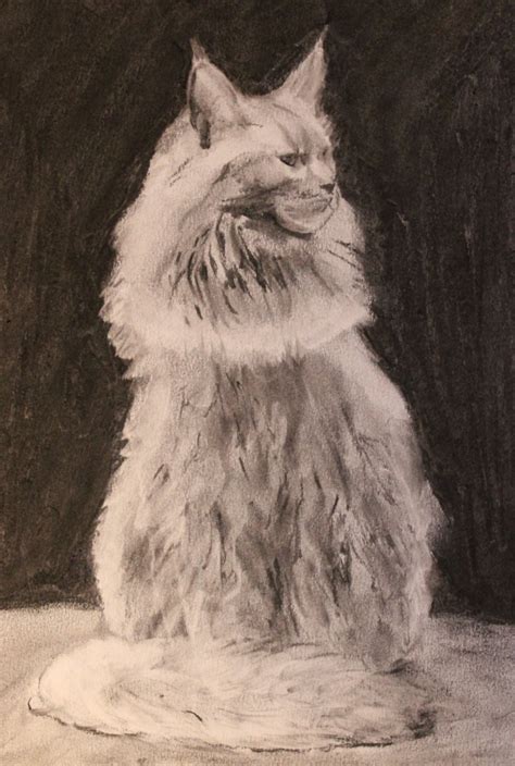 The Friday Art Cat Charcoal Maine Coon Katzenworld