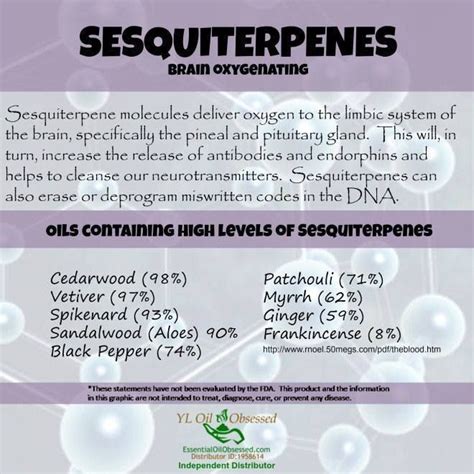 Sesquiterpenes | Cedarwood essential oil, Essential oils, Essential oils aromatherapy