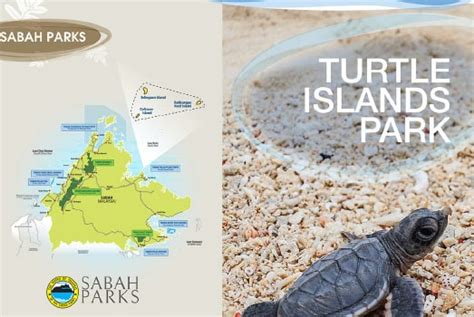 Turtle Islands Park The Official Sabah Parks Website