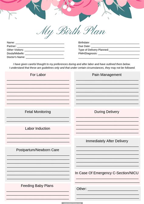 How To Make The Ultimate Birth Plan Free One Page Template Live