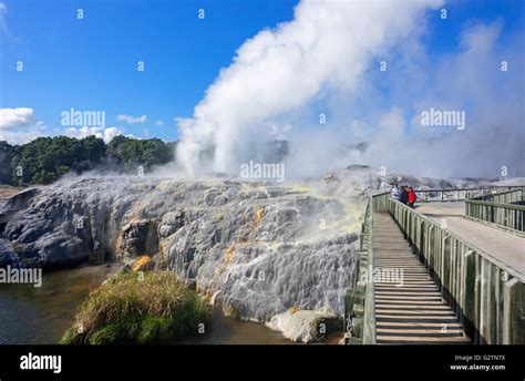 Pohutu Geyser And Prince Of Wales Feathers Geyser Te Puia