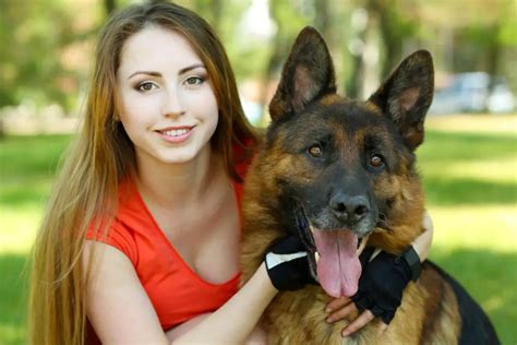 Best Dog Food For German Shepherds With Sensitive Stomach · German