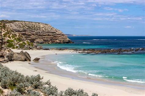 How To Get To Kangaroo Island From Adelaide