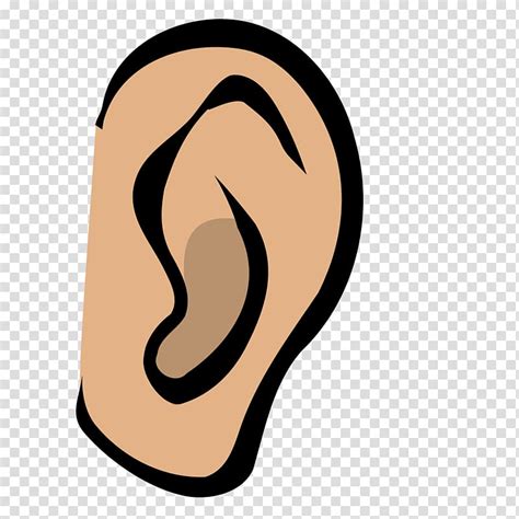 Hearing Ear Transparent Background Png Clipart Hiclipart