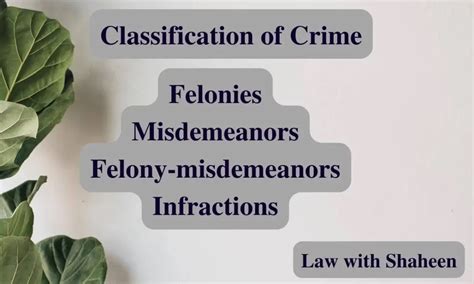 Classification Of Crimes In Criminal Law Law With Shaheen